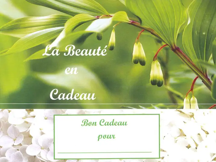 bon cadeau